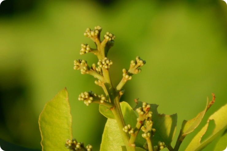 [it] Lancement de notre nouveau site web